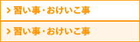 ジュニアプログラム