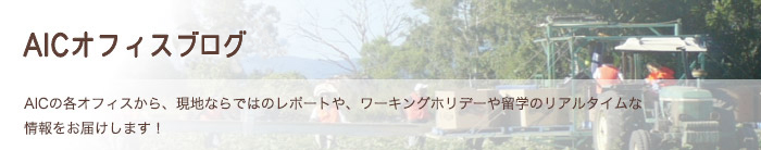 AICオフィスブログ