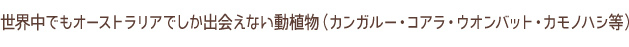 世界中でもオーストラリアでしか出会えない動植物（カンガルー・コアラ・ウオンバット・カモノハシ等）