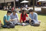 Griffith International, Students at Nathan Campus