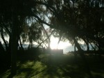 Noosa1