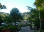 pic_town_noosa09