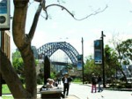 pic_town_sydney01