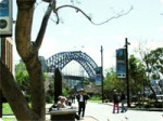 pic_town_sydney01