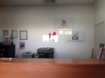 photo 1 (1)