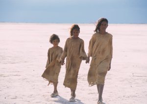 Rabbit proof fence